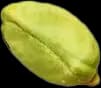 Castañas de cajú premium seleccionadas - Reyna Frutas