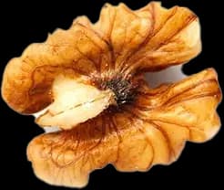 Almendras tostadas naturales - Reyna Frutas
