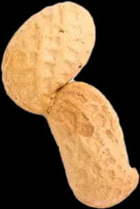 Nueces sin cáscara listas para consumir - Reyna Frutas