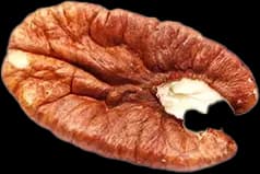 Maní tostado sin sal ideal para snacks - Reyna Frutas